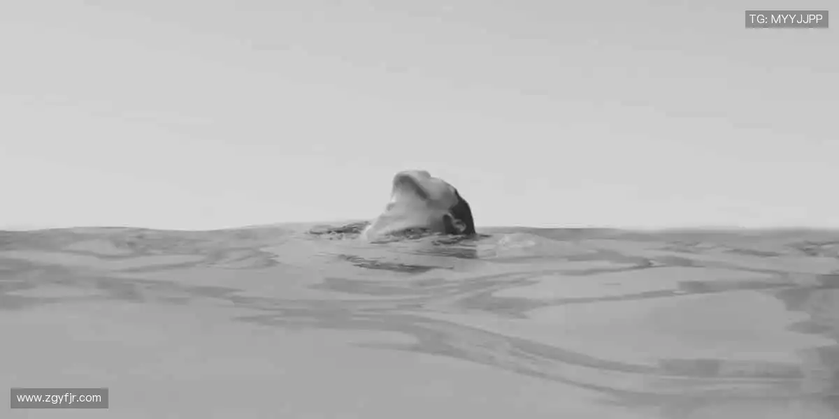 一键下单，即刻拥有！🛒 正版周边，为偶像打 call 的仪式感拉满！